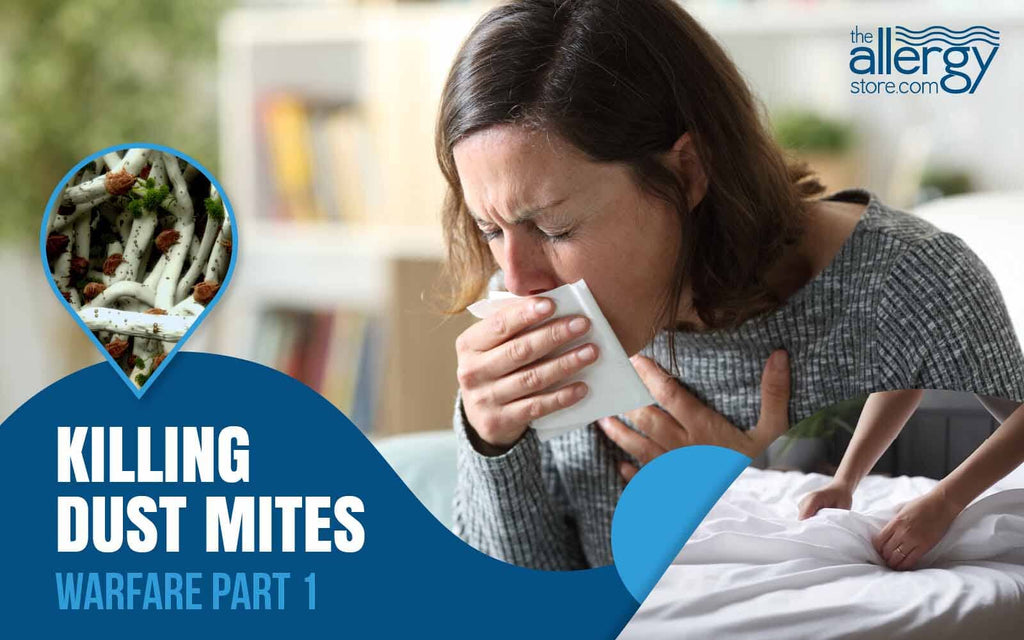 Killing Dust Mites – Warfare Part 1